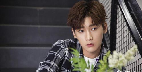 娱乐圈吃瓜爆料王琳凯,揭秘明星背后的故事 第3张 娱乐圈吃瓜爆料王琳凯,揭秘明星背后的故事 第3张